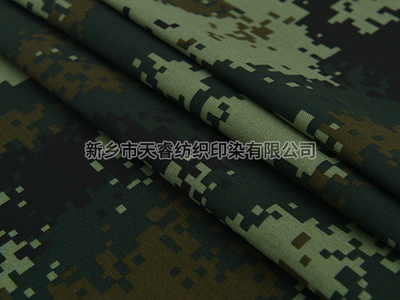 TC 80/20 30/2*14/67*53 200GSM 印花 Armed Police Summer