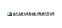 山东东岳未来氢能材料