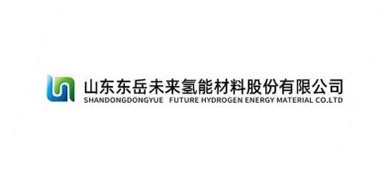 山东东岳未来氢能材料