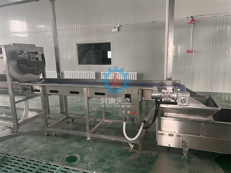 水果類處理線_(21).jpg