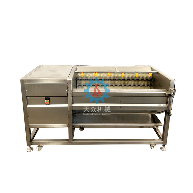 毛刷式水果清洗机