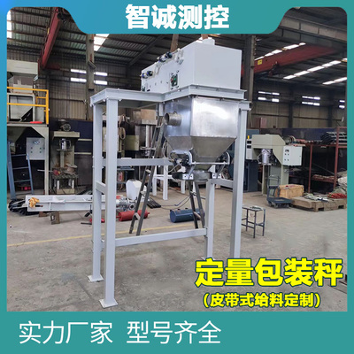 山西皮带给料定制包装秤