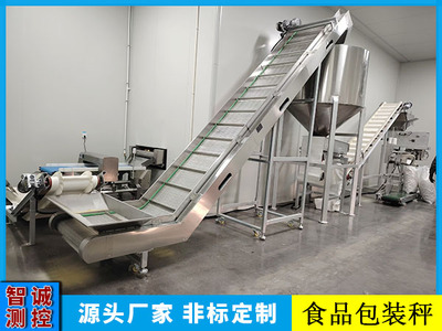 山西食品自动包装秤