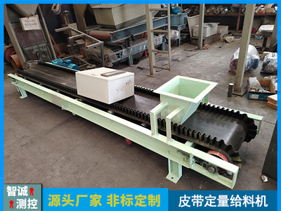 山西皮带定量给料秤