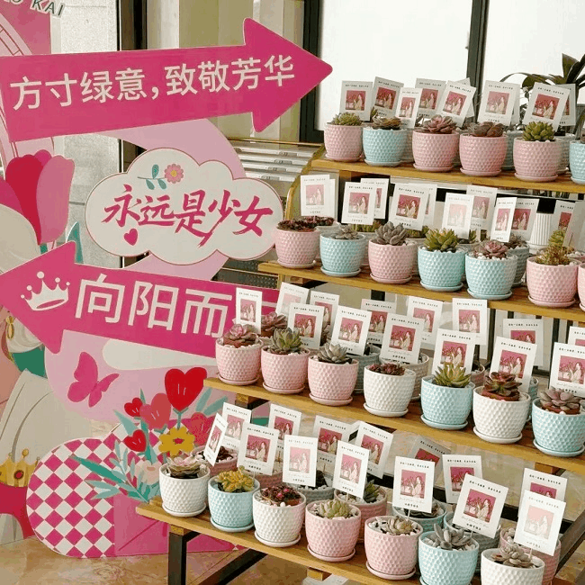 三八婦女節(jié)活動(dòng)剪影