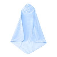 Hooded Blanket