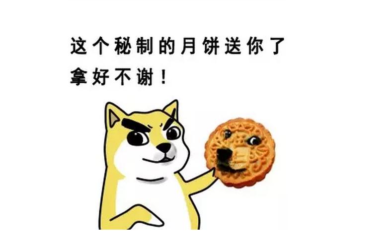 挖机柴油滤