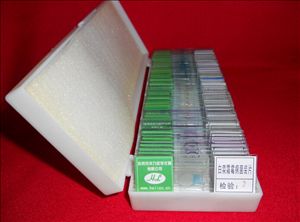 板蓝根根腐病切片药用植物病害切片