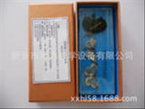 包埋昆虫标本