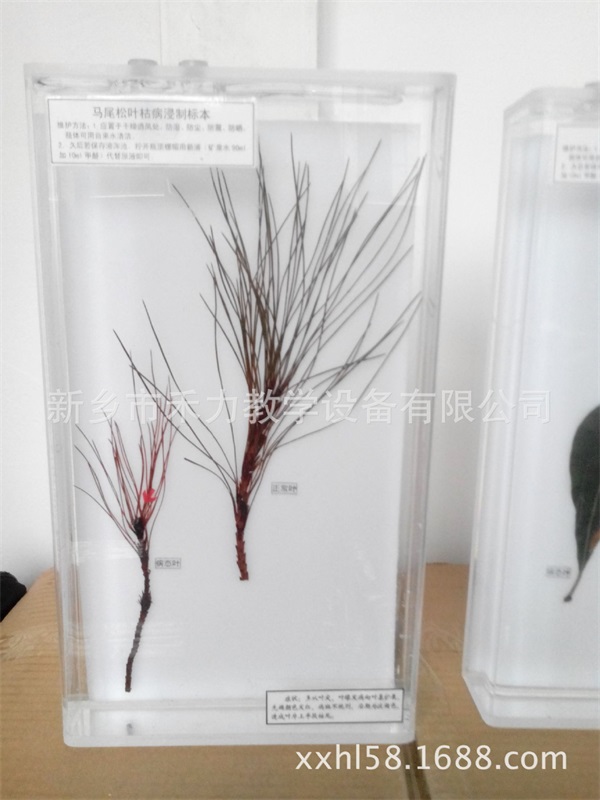 植物病理学浸制标本