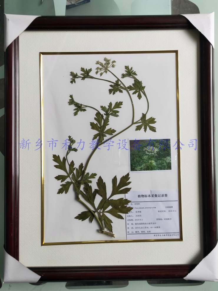 IMG20190105144017.jpg