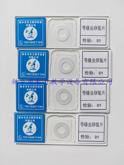 带绦虫卵装片   寄生虫玻片标本  猪带绦虫