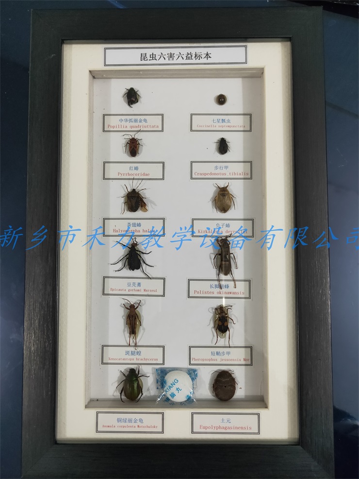 IMG20181112173659.jpg