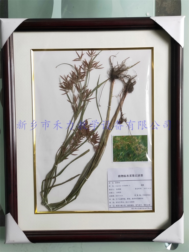 IMG20190105144426.jpg