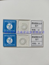 蛔虫卵装片  感染期蛔虫卵装片 寄生虫玻片
