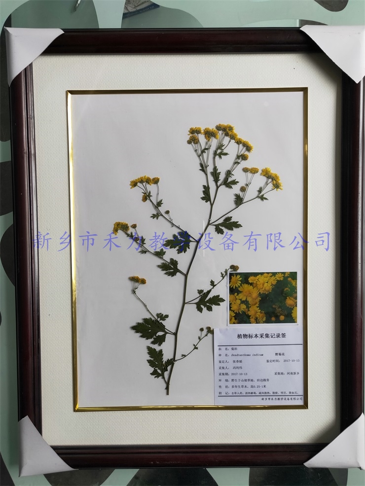 IMG20190105144218.jpg