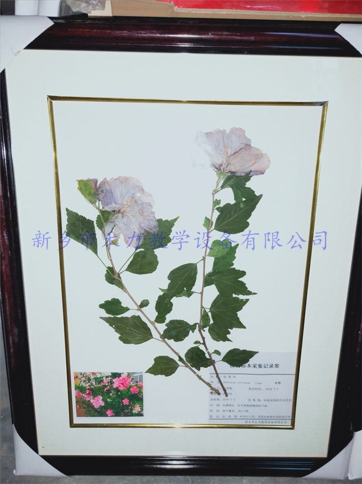 IMG20181011162032.jpg