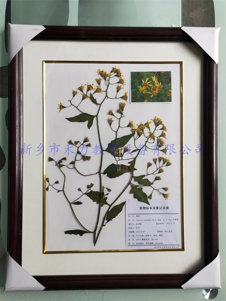 IMG20190105143923.jpg