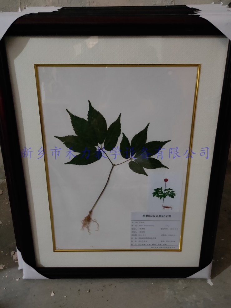 IMG20181020151233.jpg