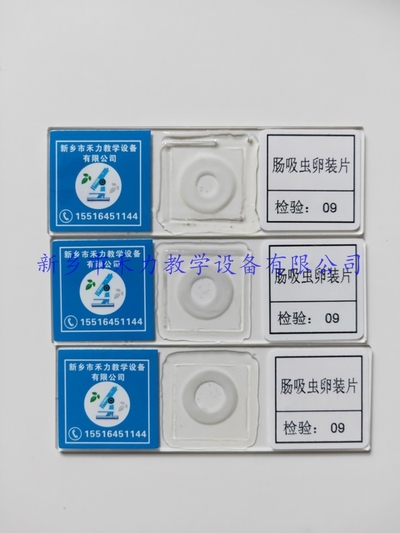 肠吸虫卵装片 寄生虫玻片标本  寄生虫卵装片