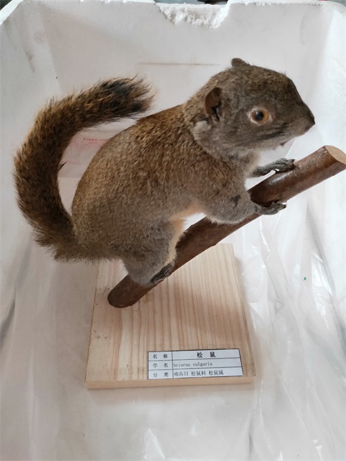 IMG20190406162548.jpg