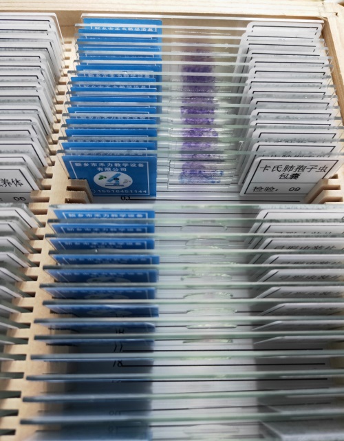 IMG20190410084453.jpg