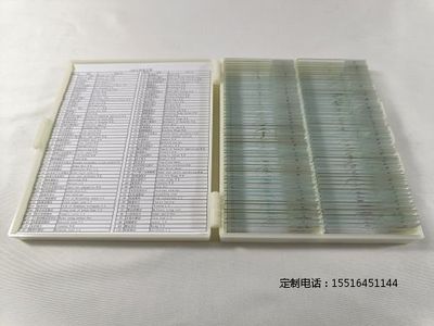 产品展示标本动植物装片标本