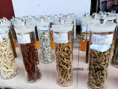 植物浸制标本中药标本