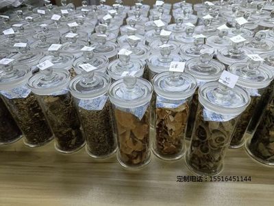 中药鉴定标本教学标本