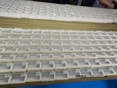 剥制标本教学标本昆虫器官装片标本