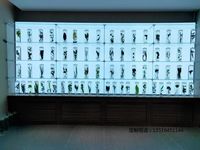 中药浸制标本教学标本展示标本