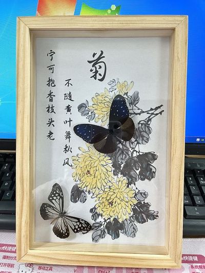 蝴蝶标本 真蝴蝶 相框摆件 手工制作