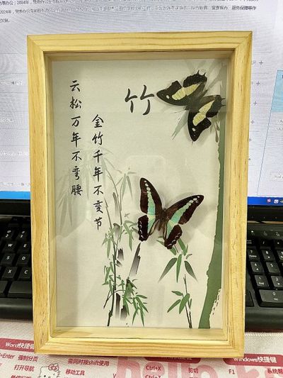 蝴蝶标本 真蝴蝶 蝴蝶标本摆件