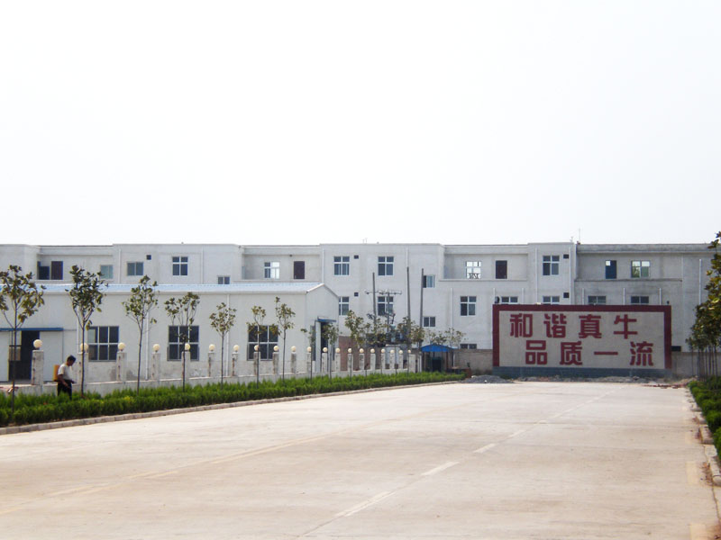 公司风采