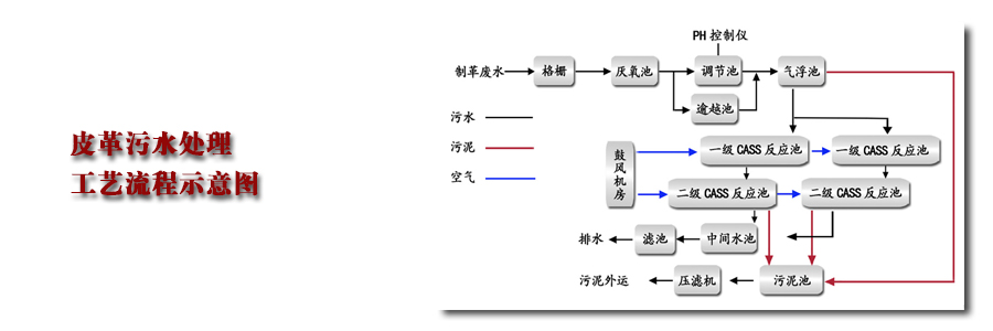 阳离子聚丙烯酰胺