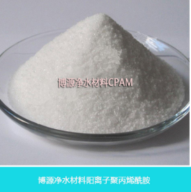 阳离子聚丙烯酰胺