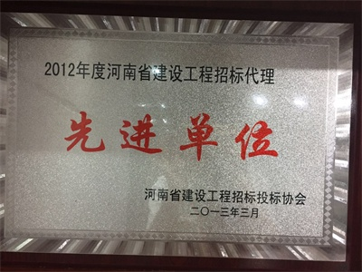 2012年省工程招标代理先进单位