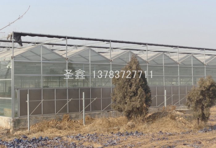 陽光板溫室