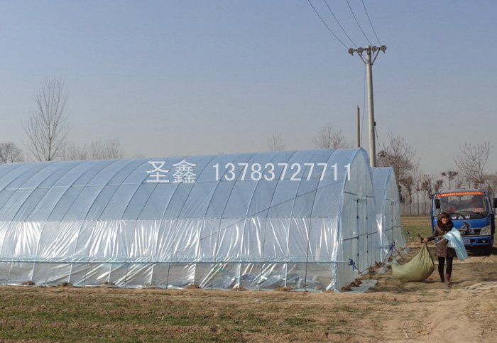鍍鋅管蔬菜大棚