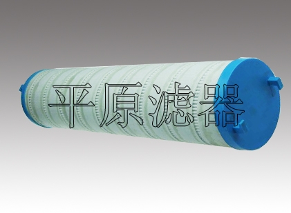 PALL颇尔滤芯 (HC0252FKN10H)