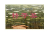 园区资质