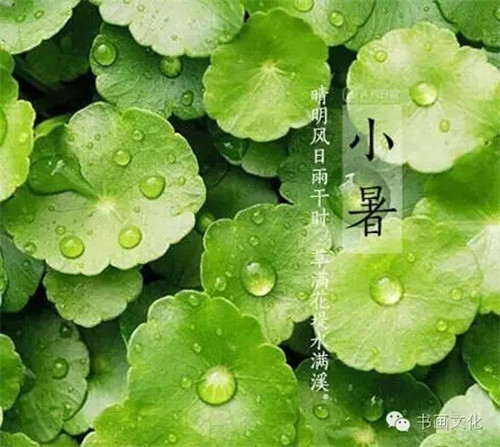 小暑来盛夏始，饮食要清热解暑