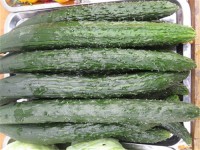 安阳蔬菜批发