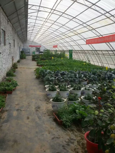 栽培基质