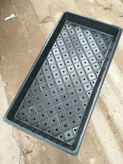 育苗穴盘