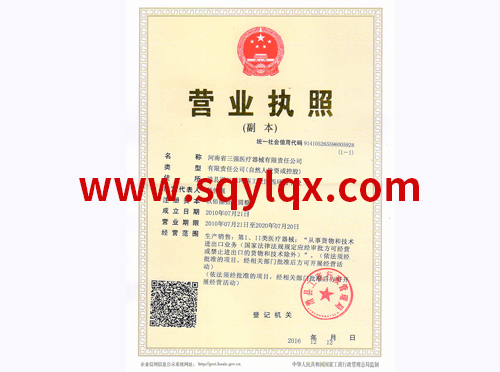 Business License