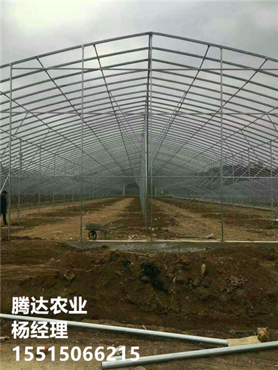 單棟蔬菜拱棚