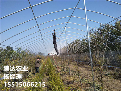 拱棚建造
