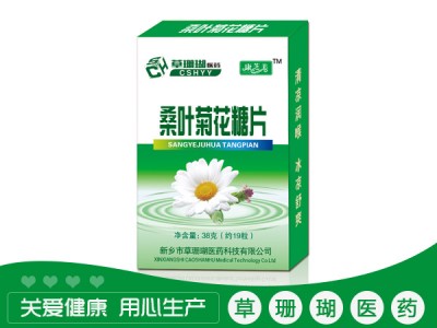 桑叶菊花糖片