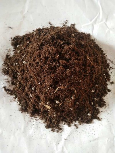 白芨育苗驯化基质